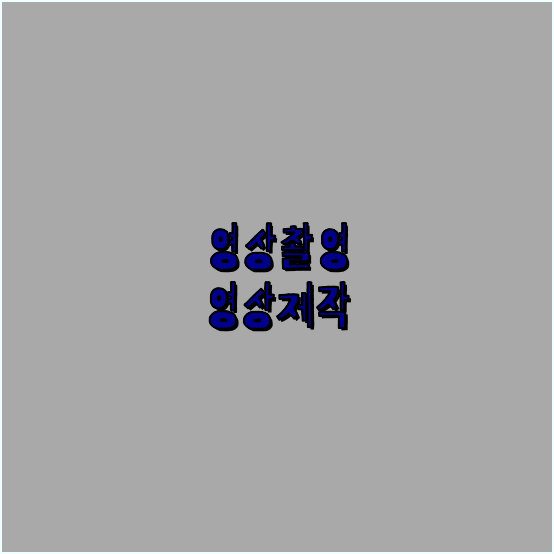 행사촬영업체