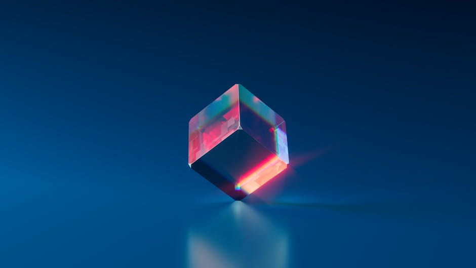 3D영상